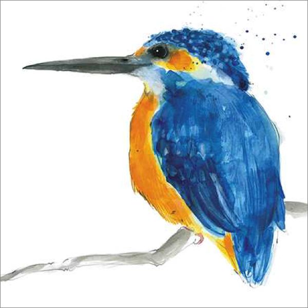 Card-Kingfisher
