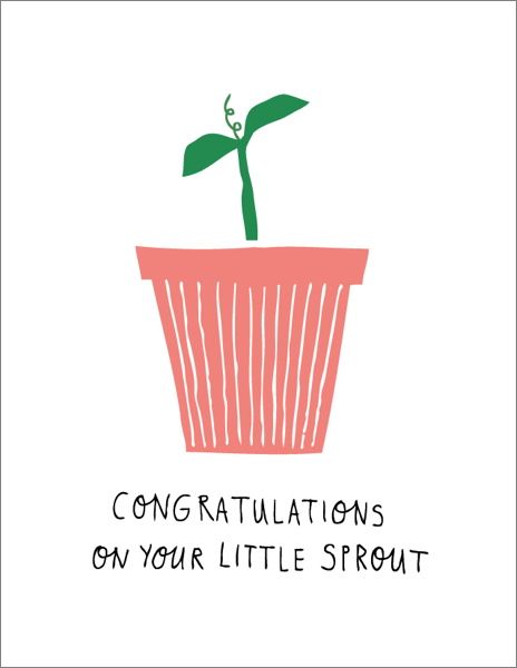 Card-Little Sprout