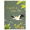 Foil Card-Baby Star