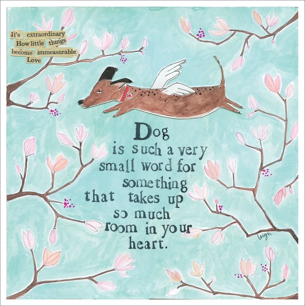Card-Dog Is A Small Word