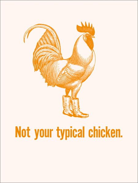 Card-Not Your Typical Chicken