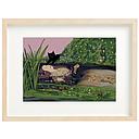 Art Print-Ofelinea Cat