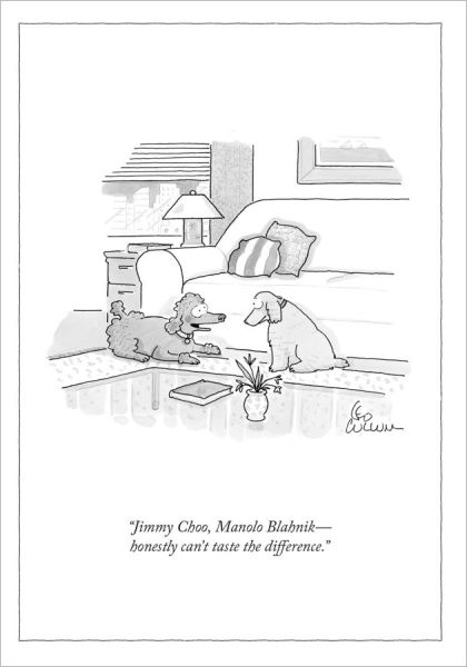 Card-Jimmy Choo  