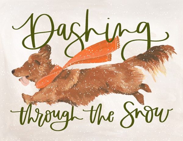 Card-Dashing Dog
