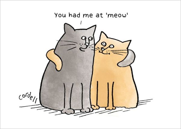 Card-You Had Me At Meow