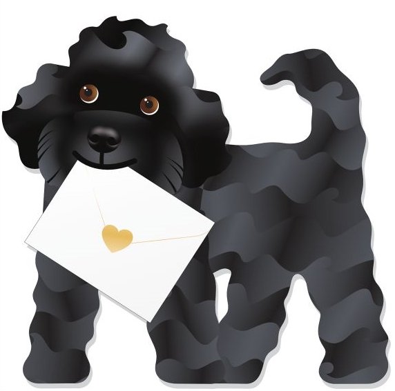 3D Card-Jazzy