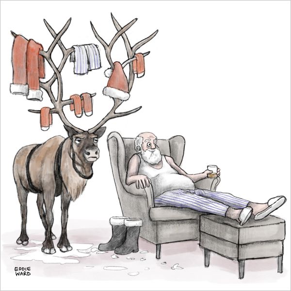 Card-Santa's Washing