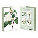 Notecard Wallet-White Blossoms