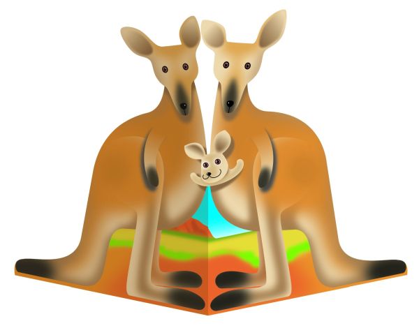 3D Card-Kangaroo-The Roos