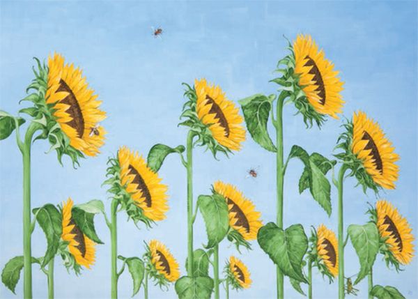Card-The Sun Worshippers