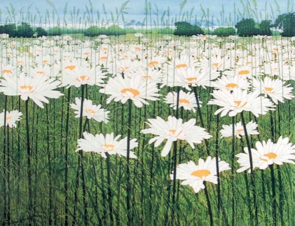Card-Daisy