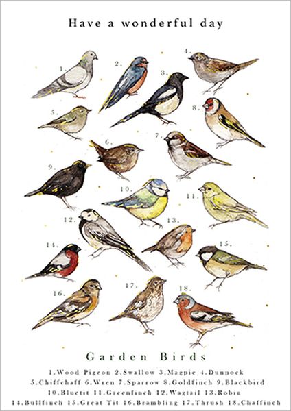 Foil Card-Garden Bird Chart