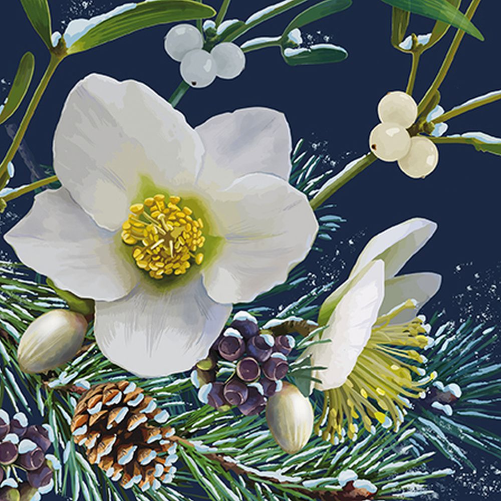 Card-Christmas Rose