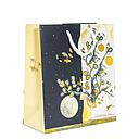 Gift Bag Medium-Wish