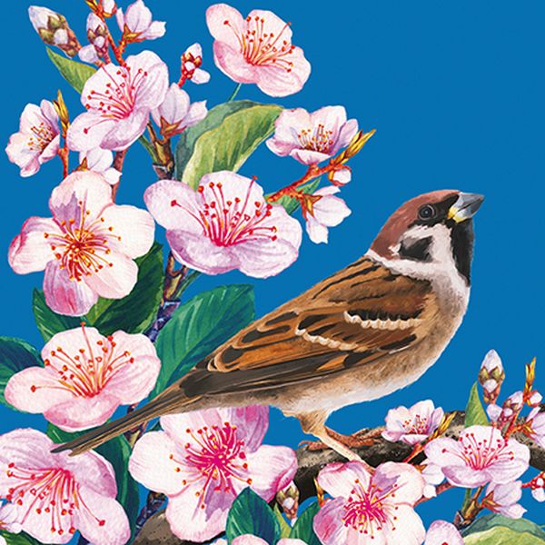 Embossed Card-Bird and Blossoms