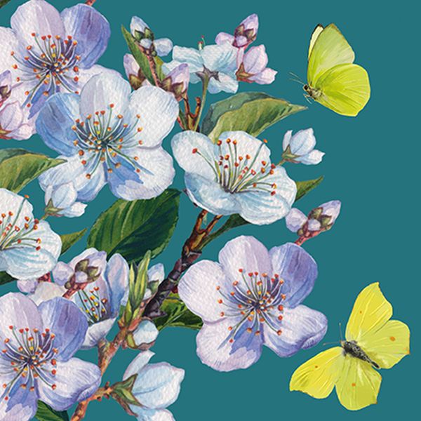 Embossed Card-Butterflies and Blossom