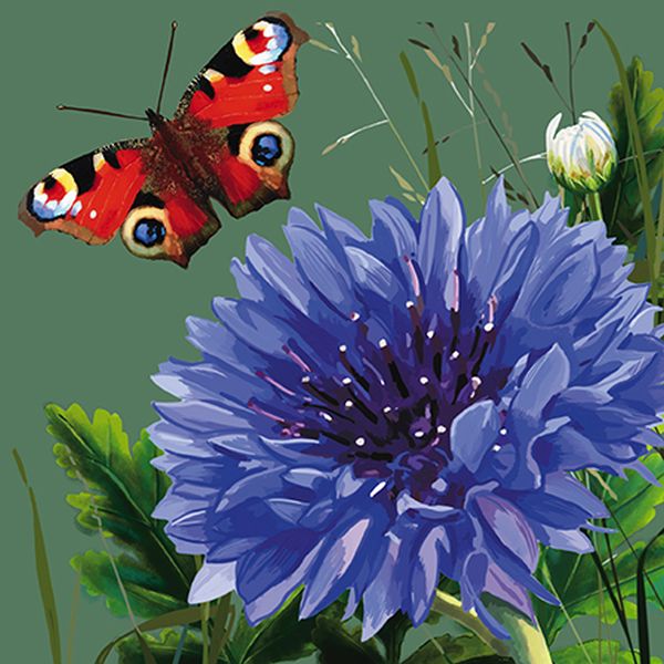 Embossed Card-Agapanthus