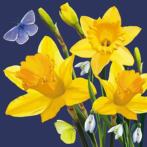 Embossed Card-Daffodil