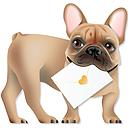 3D Card-Dog-Frenchie