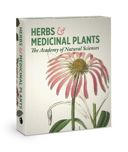 [PO-KG-163] Knowledge Cards-Herbs and Medicinal Plants
