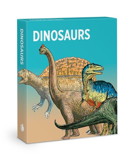 [PO-KG-206] Knowledge Cards-Dinosaurs 
