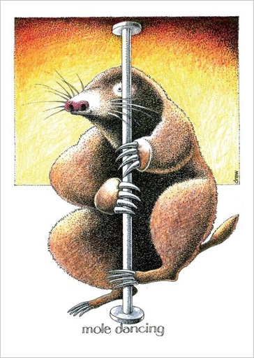 [SI-C-069] Card-Mole Dancing