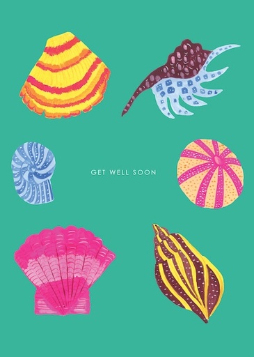[HC-C-254] Card-Sea Shells