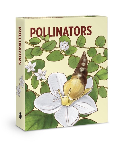 [PO-KG-396] Knowledge Cards-Pollinators