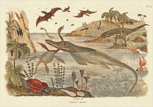 [PB-C-2306] Card-Dinosaurs