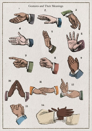 [PB-C-2503] Card-Gestures and Their Meaning