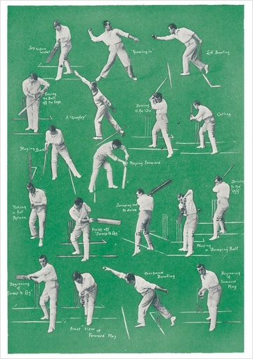 [PB-C-0556] Card-Cricket, Batting and Bowling