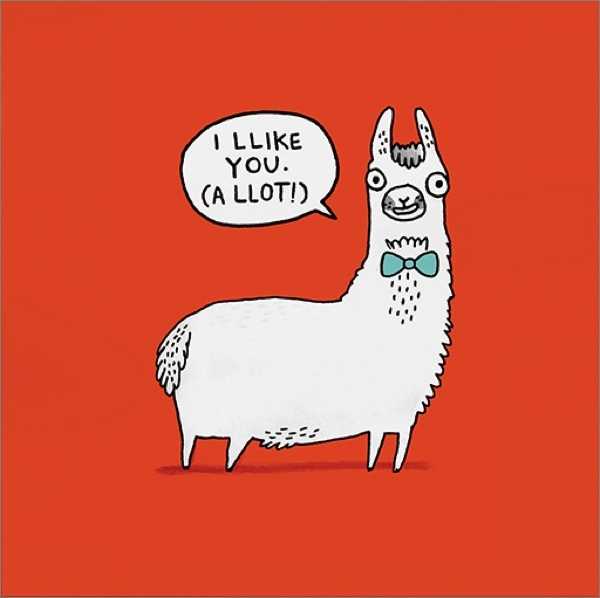 [OD-C-GE065-SQ] Card-Llama Llikes You