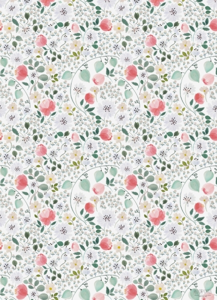 [RC-W-ANN1692] Wrap-White Calendula