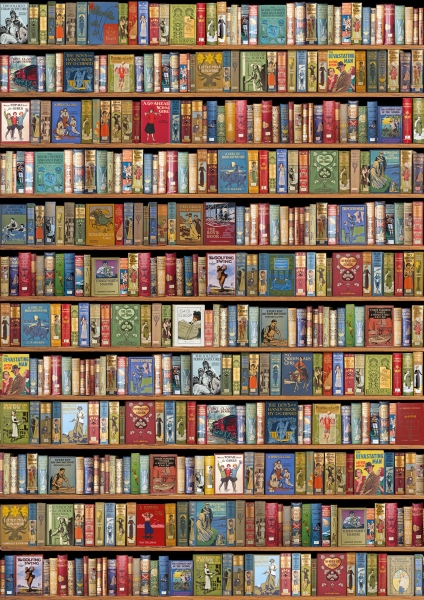 [BL-W-ST1616] Wrap-Bookshelf