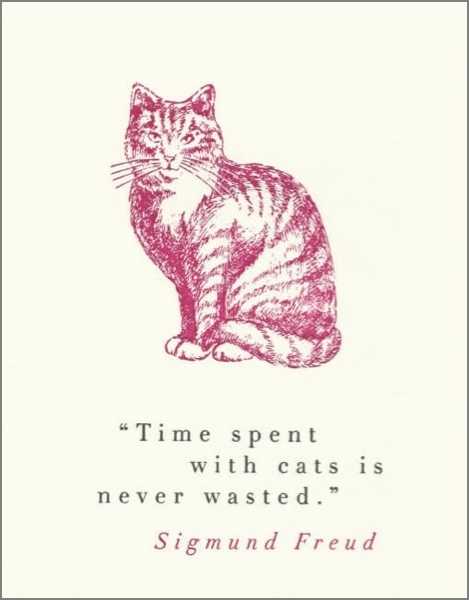 [AV-C-QP284] Card-Time With Cats