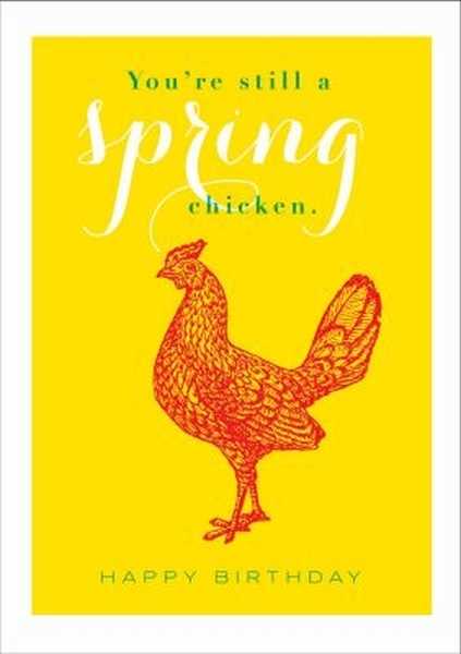 [AV-C-QP289] Card-Spring Chicken