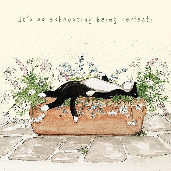 [AM-AT2215] Card-Being Perfect