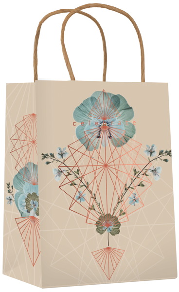 [FW-WB-GB013F] Gift Bag Medium-Celebrate