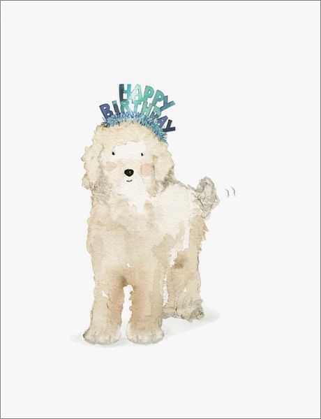 [EF-C-BD0265] Card-Lucy Dog Birthday