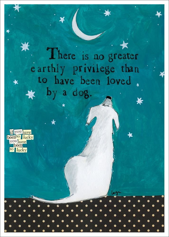 [CG-C-PT001] Card-Loved By A Dog