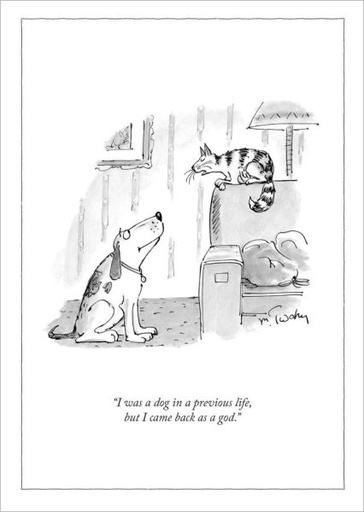 [NY-C-A028] Card-Dog in Previous Life 