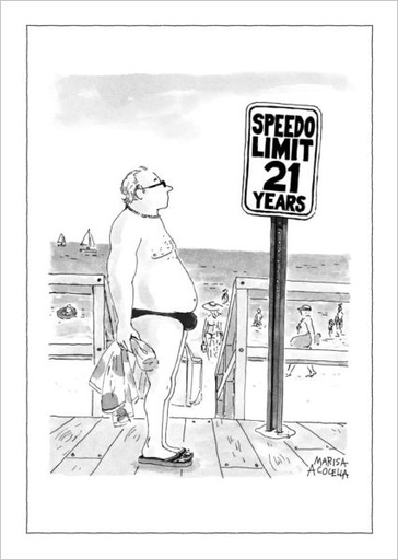 [NY-C-A242] Card-Speedo Limit