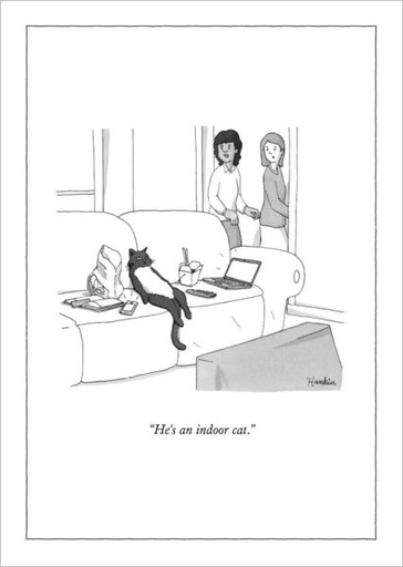 [NY-C-A264] Card-Indoor Cat