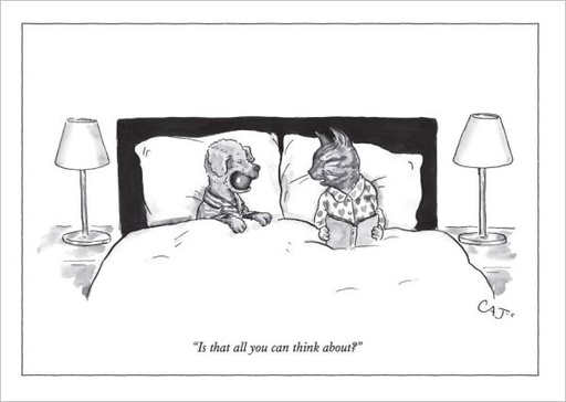 [NY-C-A329] Card-All You Can Think About