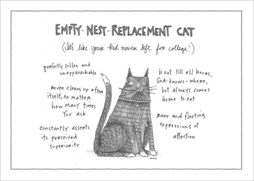 [NY-C-A349] Card-Replacement Cat