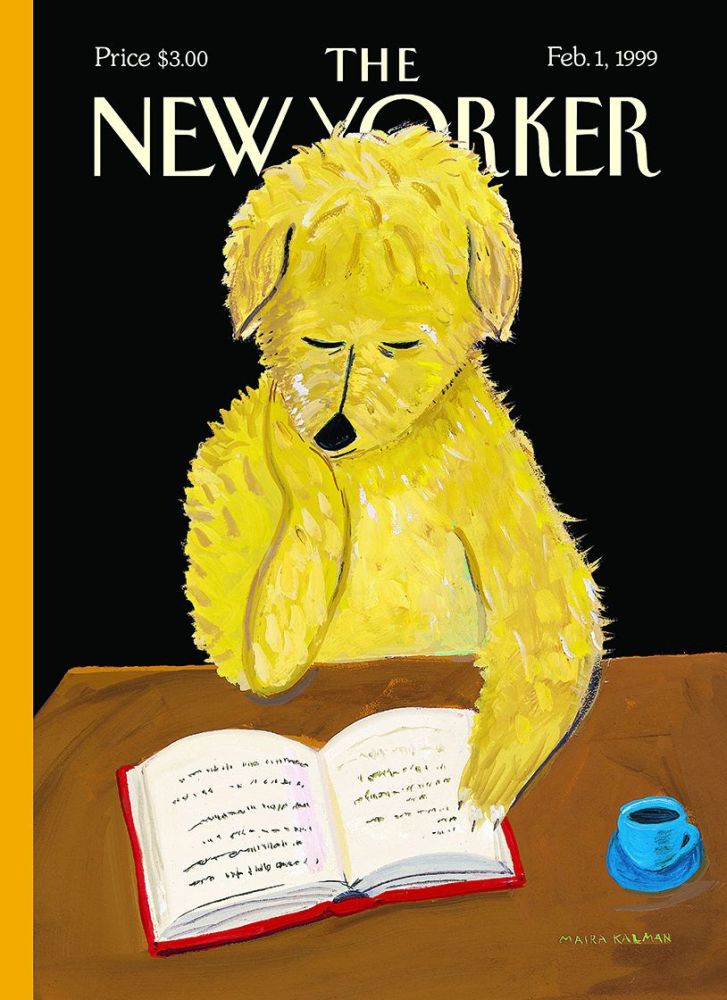 [NY-C-C072] Card-Dog Reading