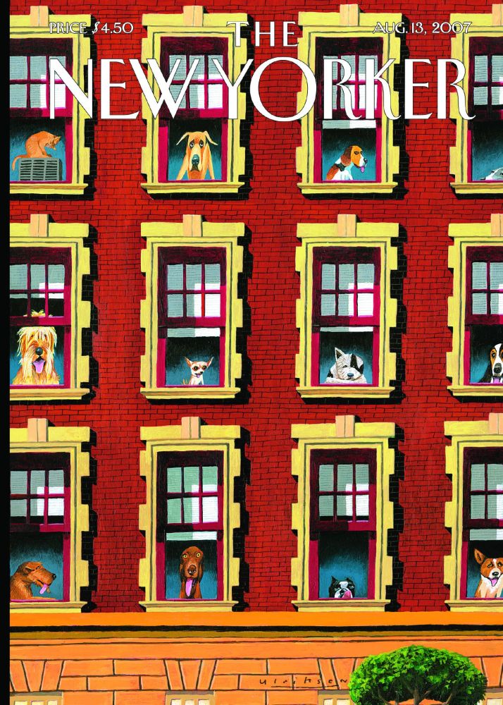 [NY-C-C104] Card-Doggies In The Windows
