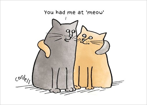 [NY-C-B026] Card-You Had Me At Meow
