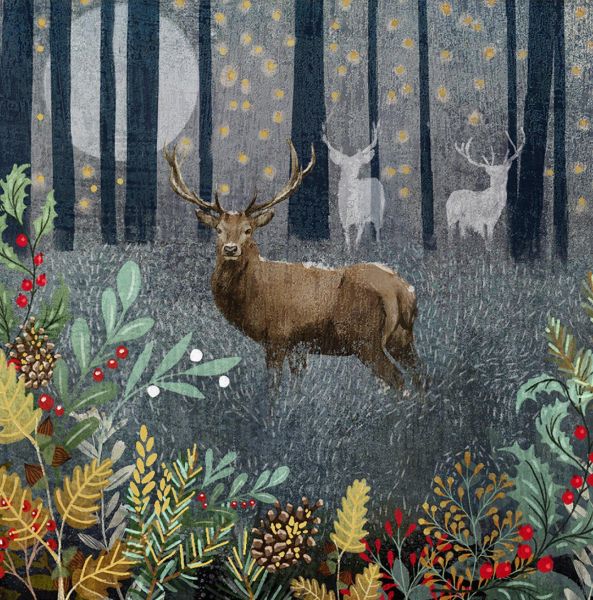 [AM-XCP-0090] Card Pack of 6-Forest Sparkle