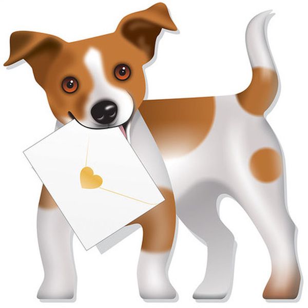 [SD-DG192] 3D Card-Dog-Riley
